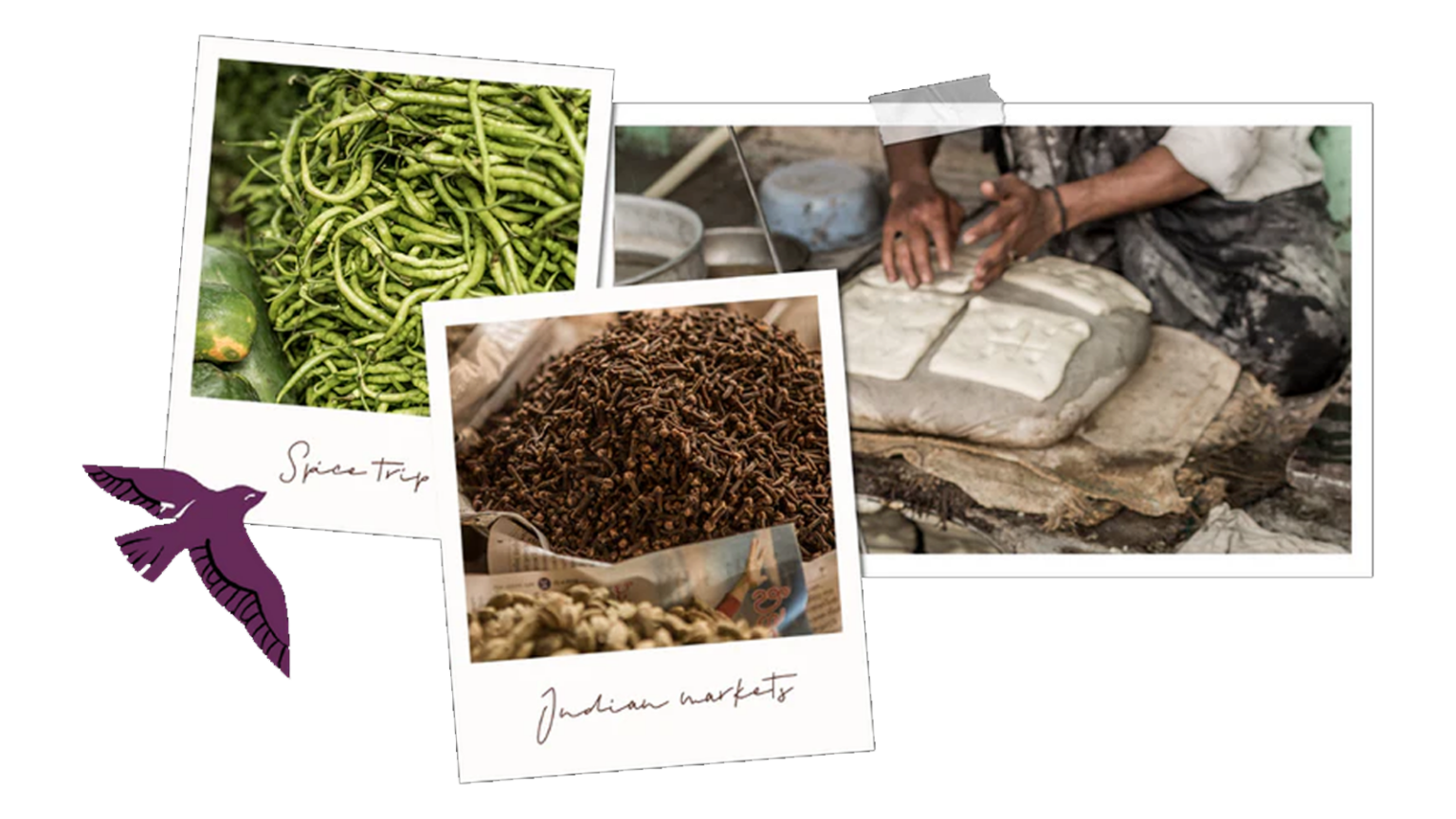 Home The Spice Tailor US home-the-spice-tailor-us